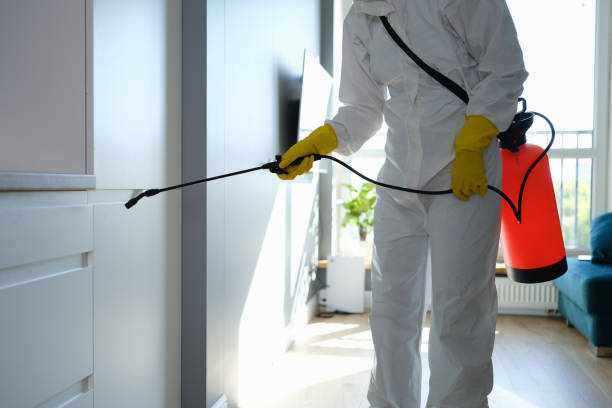 Richmond, KY Mold Removal Company