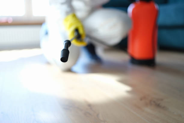 Biohazard Mold Removal in Richmond, KY